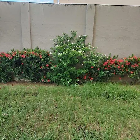 Apartamento Do Futuro Poucos Metros Da *